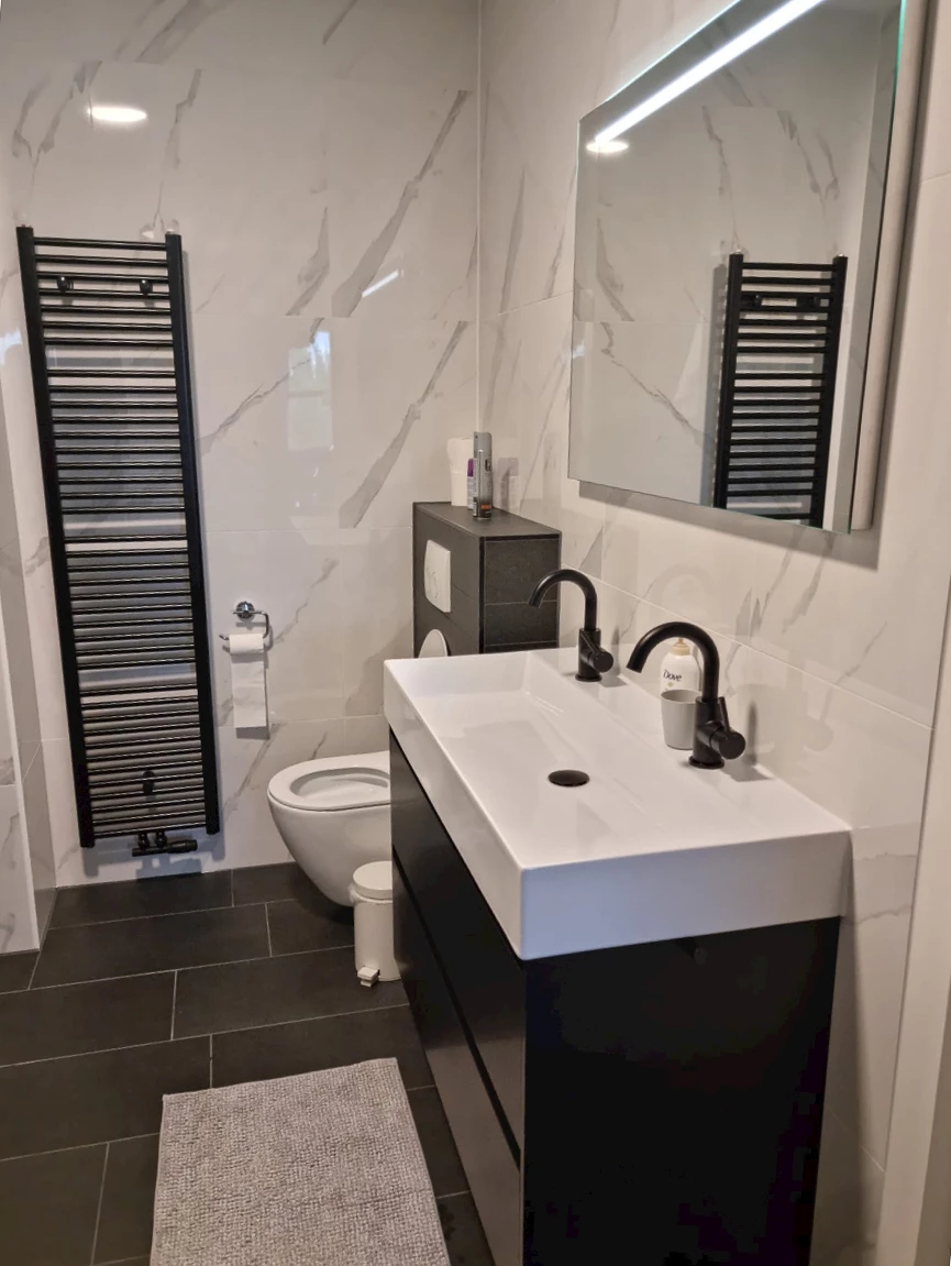 Opgeleverde badkamer en toilet in Genemuiden