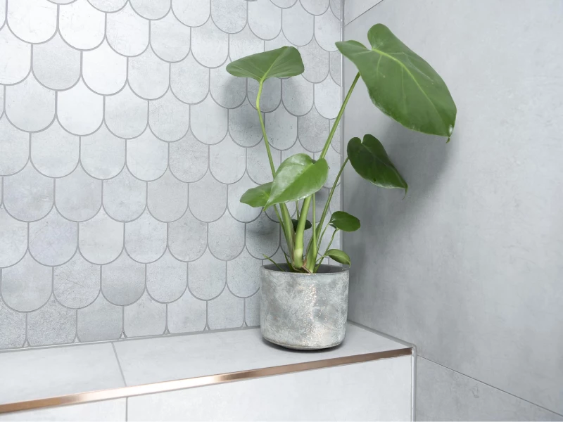 Voordelen planten in de badkamer