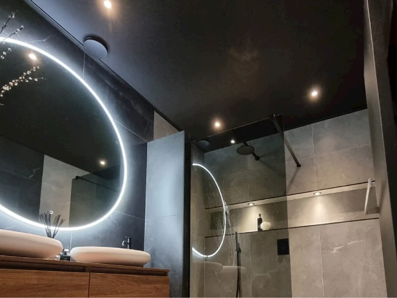 Zwart plafond badkamer